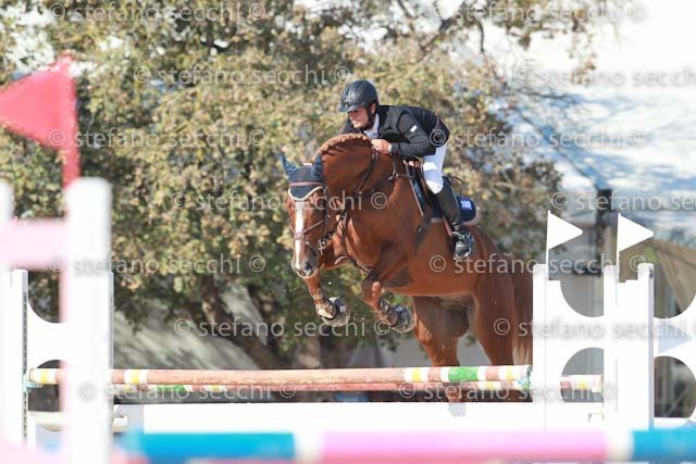 INSELVINI_QUIDORADO_GIO CAV 2011_SS3_6576.jpg